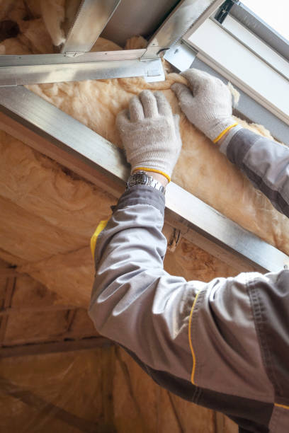 Best Insulation Maintenance and Repair in New Braunfels, TX