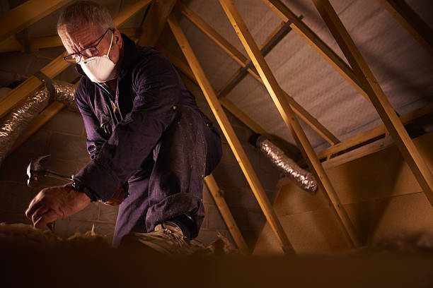 Best Cellulose Insulation in New Braunfels, TX